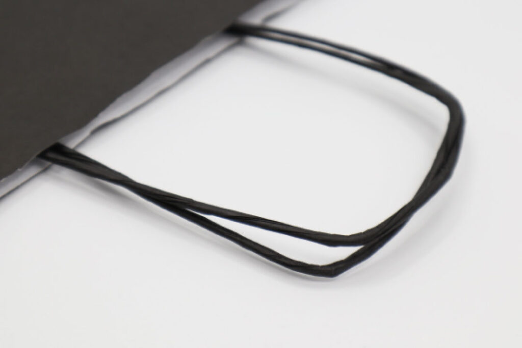Black paper bag with black twisted handles